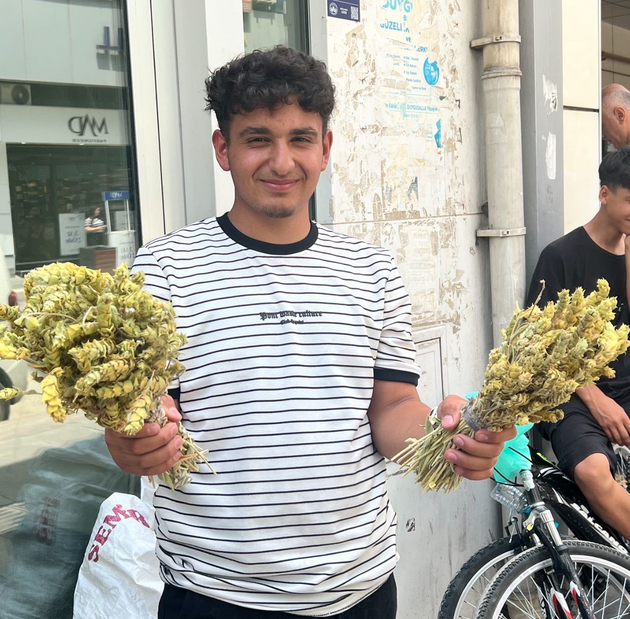 Dağlardan Topladığı Bitkilerle  Harçlığını Çıkarıyor
