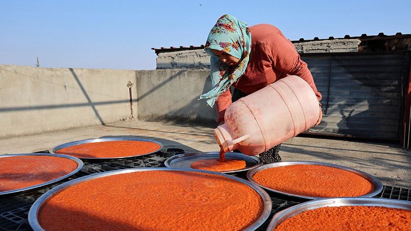 Elazığ’da emekler harcandı, şimdi karşılığı bekleniyor